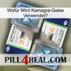 Wofür Wird Kamagra-Gelee Verwendetg viagra5